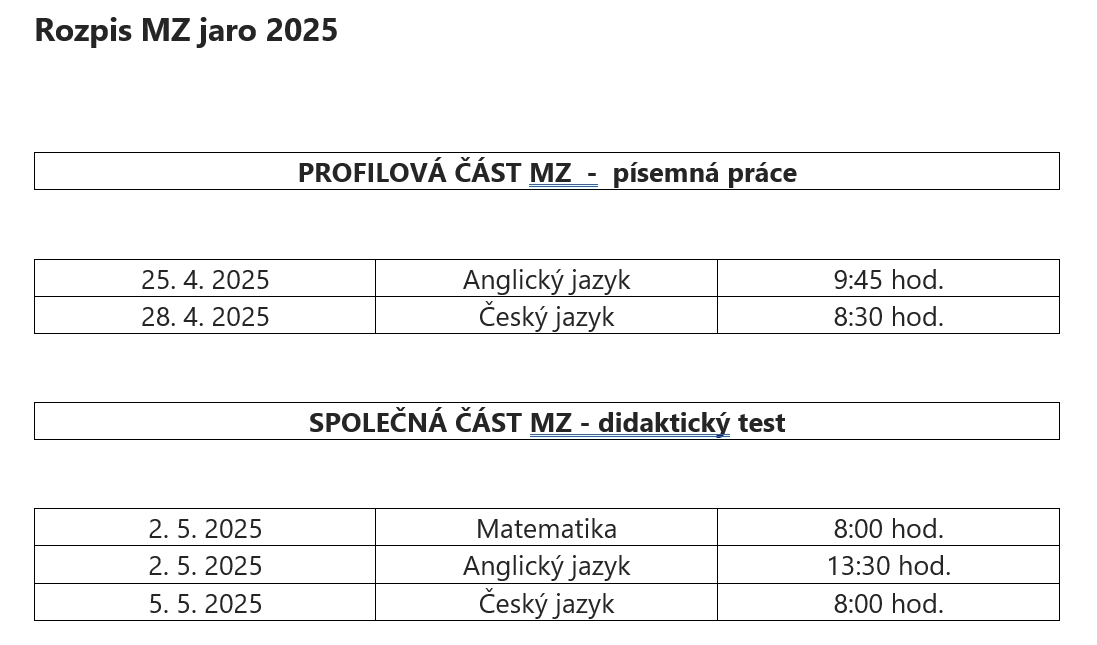 PROFILOVÁ ČÁST MZ  -  písemná práce