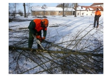 Kurz na motorovou pilu a křovinořez