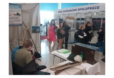 Výstava v Ostravě