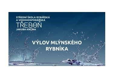 Výlov mlýnského rybníka