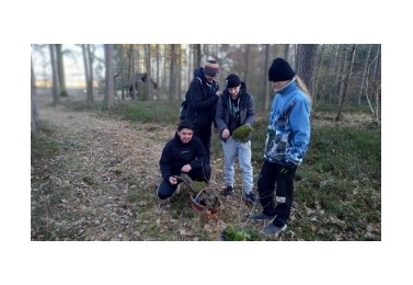 Vycházka do lesa