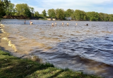 Koupání na rybníku Rožmberk