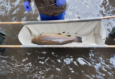Praxe studentů na Slovensku