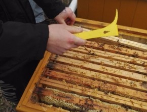 Práce žáků ve včelstvu