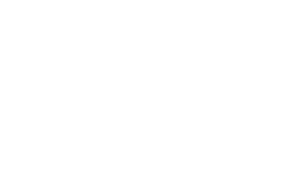 Primary Raster logo